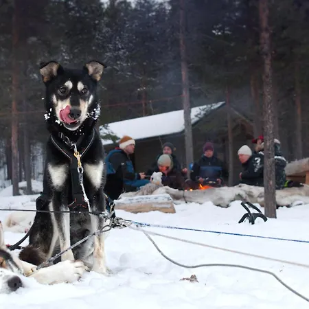 Sarmi - A True Off-the-grid Hut Inari