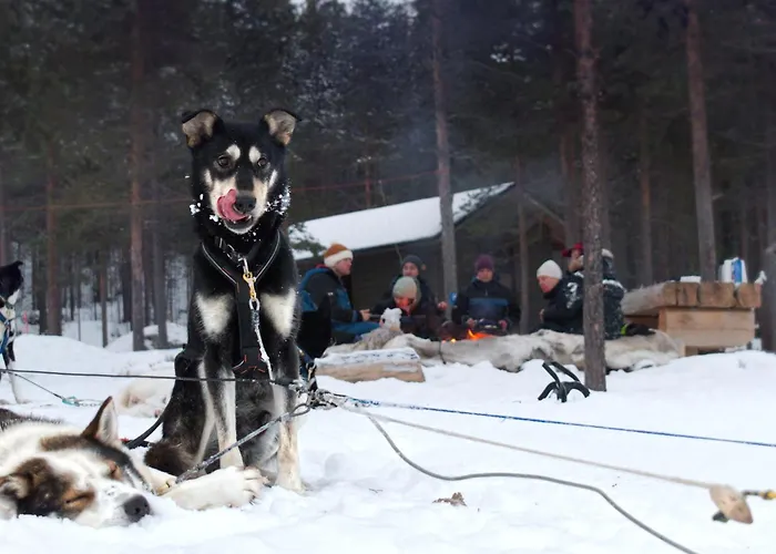 Sarmi - A True Off-the-grid Hut Inari